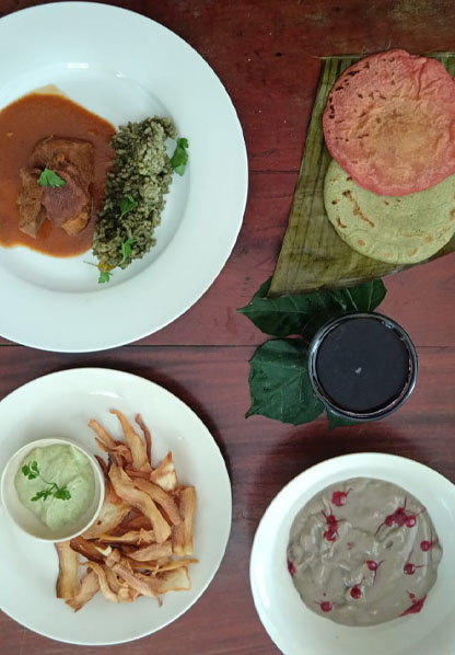 Gastronomía para cuidar el bosque