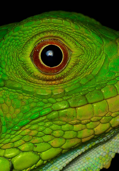 Biodiversidad, Conservación y Valor