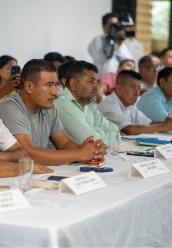 Diálogo para la construcción de la paz