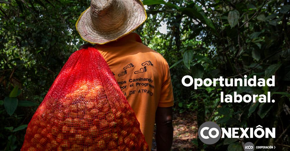 FACILITADOR/A DE GASTRONOMÍA PARA IMPLEMENTAR CURSOS CORTOS EN YACUIBA