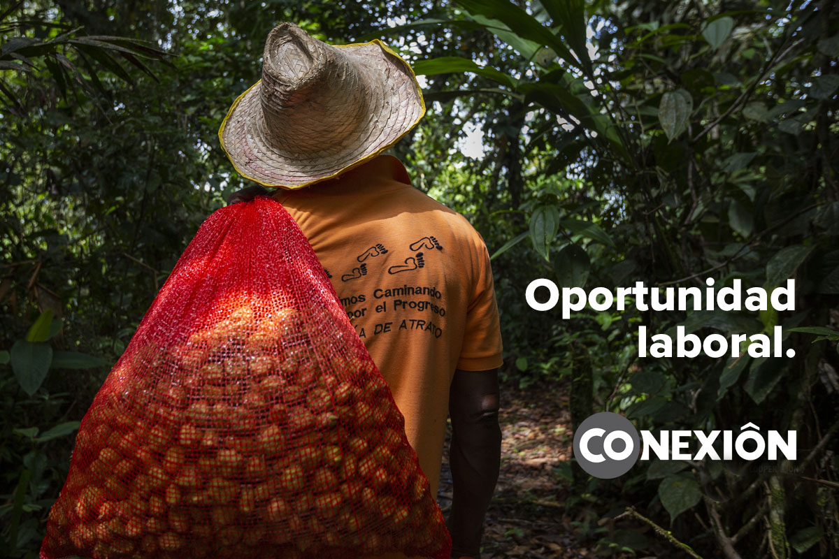 FACILITADOR PARA LA TRANSFORMACIÓN DE PRODUCTOS LOCALES