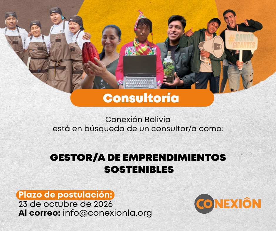 Consultoría Bolivia