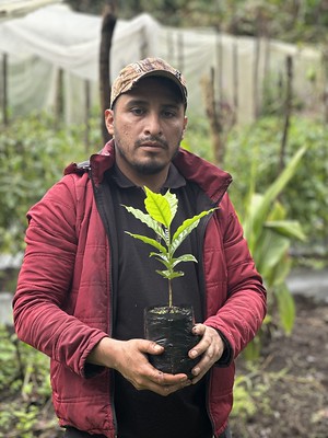 Apoyo a las acciones postcrisis para la recupración y rehabilitación 